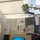 이-클린치과의원 이미지