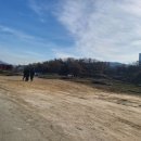 마곡부동산공인중개사사무소 이미지