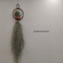 엘도뷰티(Eldo Beauty)