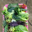 태봉농장 이미지