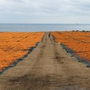 모세목장 이미지