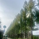 시영아파트 앞 버스정류장 이미지