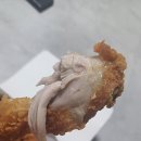 홍천 치킨 [금호호프] 후라이드 후기 보통 내돈내산