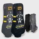 페르시안 캣 이미지