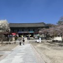 금산사 - 1316 | 김제 금산사 입장료·주차·운영시간 총정리 (2026 직접 방문 후기)