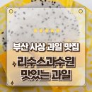프리미엄 생과일 리수스과수원 사상점 태국망고 허니글로우 용과 포장후기