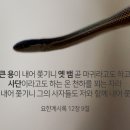 계시록 13장의 예언 이미지