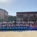 영광초등학교 이미지