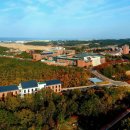 한동대학교 이미지