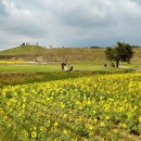 연천호로고루 이미지