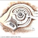 소잡는고을 | 제주도 연대(煙臺)