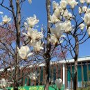 흥림식당 이미지