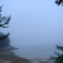 안면도바다풍경 이미지