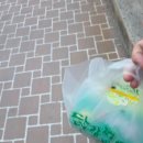 닭강정에 반하다(분평점)
