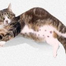 우리덕구 동물병원 이미지