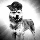 이상목농장 이미지