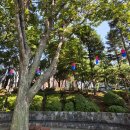 청사초롱 이미지