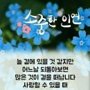 천하태평