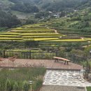 지리산 다랭이 스테이 이미지