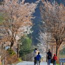 칸프스와 함께 한 봄 캠핑 - 충주 삼탄 2010.5.1~2