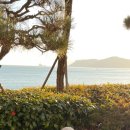 파라다이스호텔신관 이미지