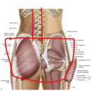 우텍헬스케어 | [성포동pt] 30대 여성 회원님의 출산후 다이어트와 허리통증 교정피티 후기