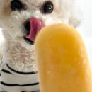 프프프 스토어 이미지