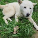 성정동물약국 이미지