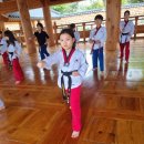 무들마리 태권도장 이미지