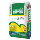 쉬리공원 | DMZ 평화의길 16코스-강원 철원군(3)(남대천교~와수초등학교)