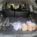 렌트투어 이미지