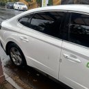 스테이비안비 | Jeju, because of you !