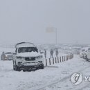 미시령