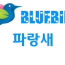파랑새몰