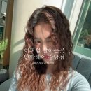 케이(kei) 헤어 | 히피펌 성지 반함헤어 강남점 l 여자 굵은히피펌 후기 by 케이실장