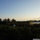 제주 서귀포 정방폭포 이미지