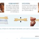 코아래문구
