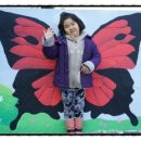 거제시청소년수련관 공연장 이미지