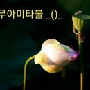 종일식당 이미지