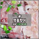 명품향어 이미지