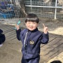 대경목장 Daum카페