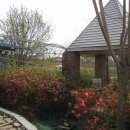 서림농원 이미지