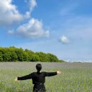 B&B 아그로 이미지