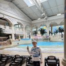 (주)하이원 | 7월 주말에 다녀온 하이원 워터월드 ft. 반입가능 음식, 꿀팁, 맛집