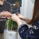 그린화원 이미지