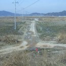 당동마을회관 아래 이미지