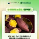 애드유통