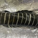 울타리없는만두집병영점 이미지