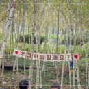 무궁화동산 족구장 화장실 | 곤지암 화담숲 모노레일 없이 도보 소요시간 &amp; 단풍 절정시기