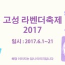 고성 라벤더축제 2017 이미지